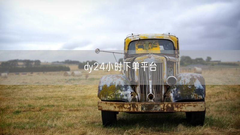 dy24小时下单平台